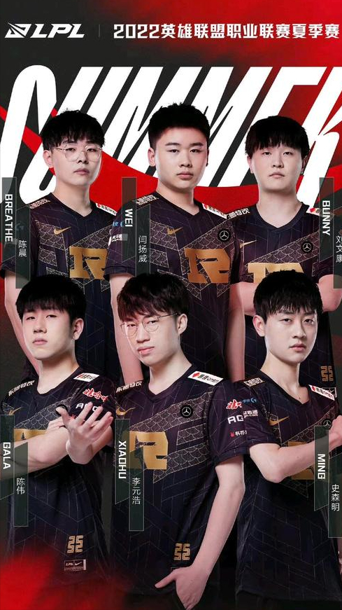 内的年轻球 内的年轻球