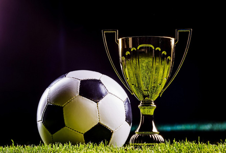 习积累专业 习积累专业